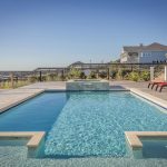 Safeguard your swimming pool from mice and rats